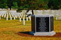 Arlington Cemetery section 64